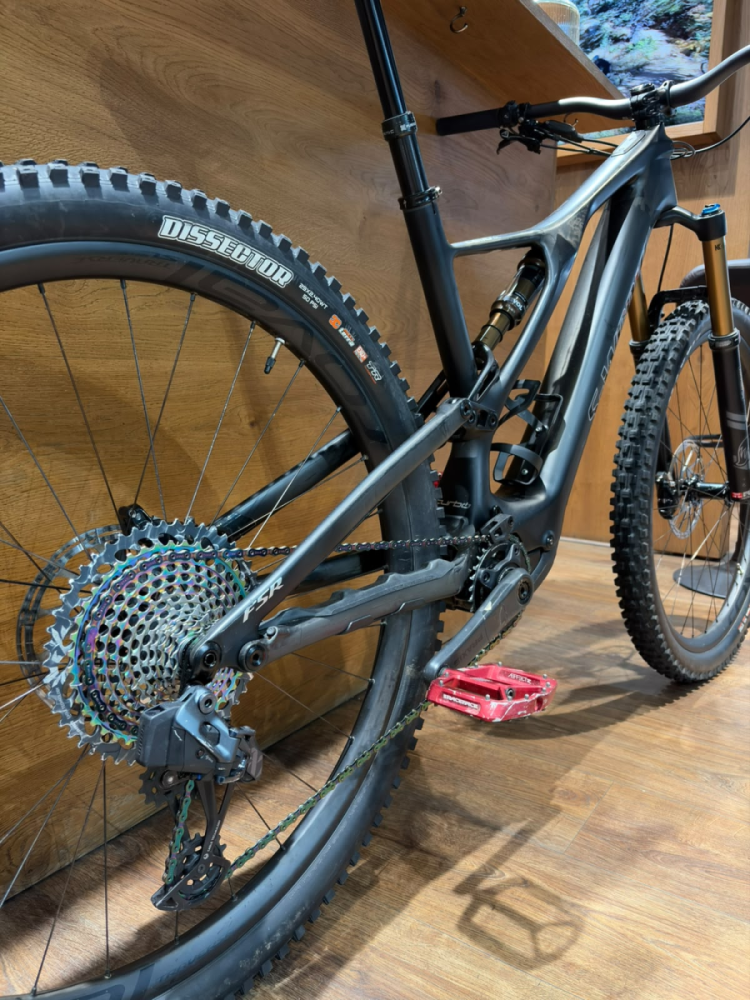 Specialized Turbo Levo SL SW