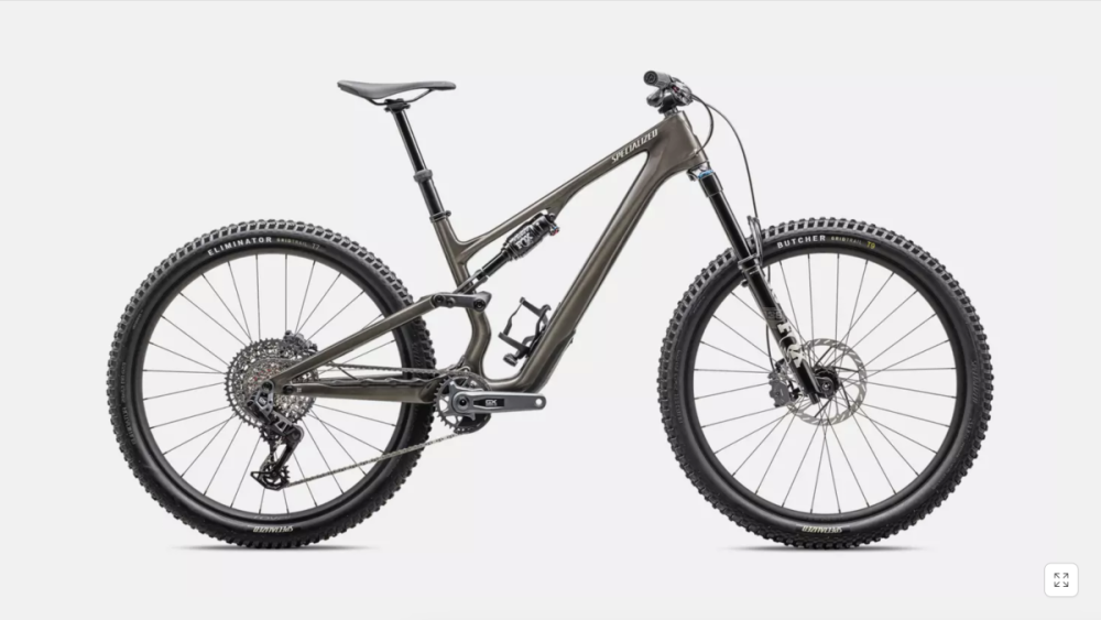 Specialized Stumpjumper 15 Expert Carbon