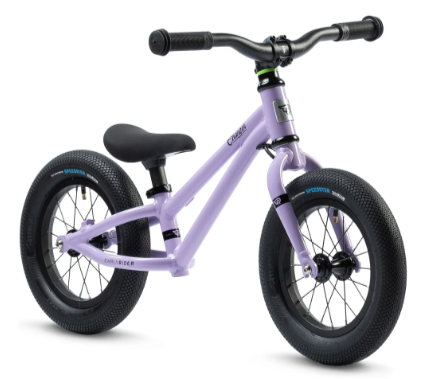 early rider charger 12