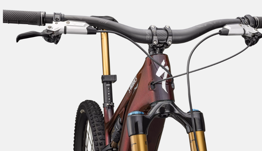 specialized Turbo Levo Sworks G4