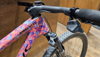 specialized S-Works Epic World Cup (Custom Build)