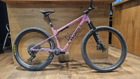 specialized S-Works Epic World Cup (Custom Build)