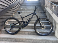 Specialized Enduro SW