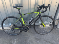 specialized ROUBAIX ELITE CARBON